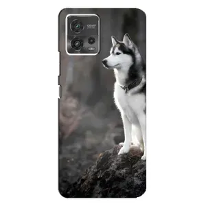 Чохол з Хаскі MOTO G72 - (AlphaPrint) (Вірний собака)