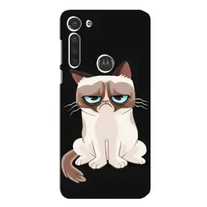 Чохол з принтом для Motorola MOTO G8 (AlphaPrint) Модні коти (Сумний кіт)