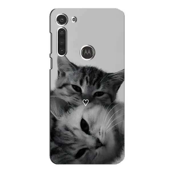 Чохол з принтом «Пара котів» для Motorola MOTO G8 Чохол з принтом «Пара котів» для Motorola MOTO G8