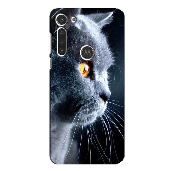 Чехол с принтом «Серый Кот» для Motorola MOTO G8