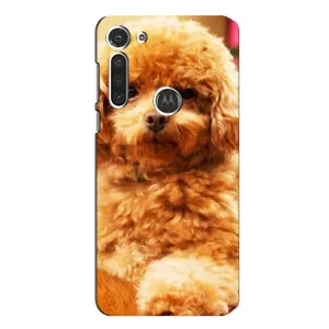 Чохли з собаками для Motorola MOTO G8 (VPrint) (Цуценя Бішон)