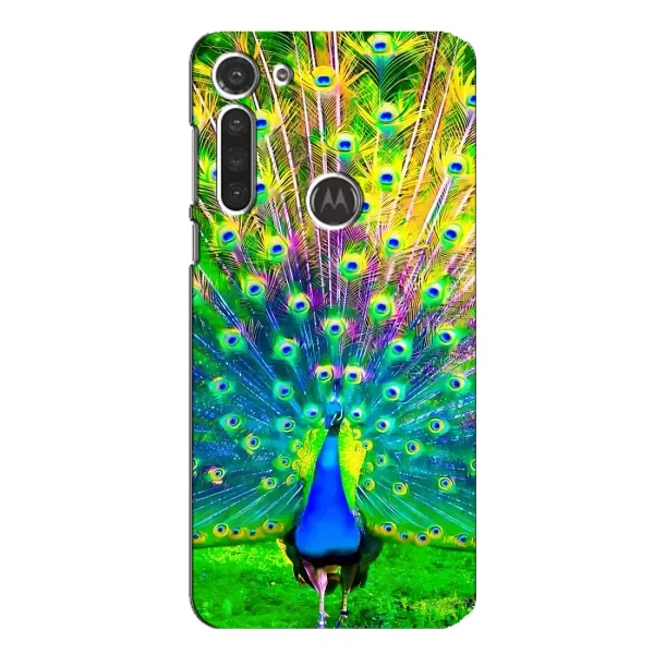 Чехол с принтом «Яркий Павлин» для Motorola MOTO G8