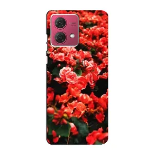 Чохли з квітами для Motorola MOTO G84 (VPrint) (Квіти червоні)