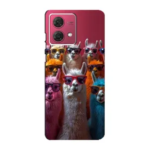 Чохол з принтом «Лами в окулярах» для Motorola MOTO G84