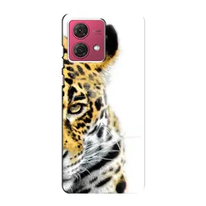 Чохли з картинкою животних Motorola MOTO G84 (Леопард)
