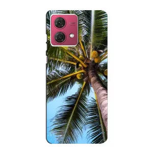 Силіконовий чохол з КАРТИНКАМИ літо для Motorola MOTO G84 (AlphaPrint) (Пальма)