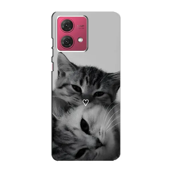 Чохол з принтом «Пара котів» для Motorola MOTO G84