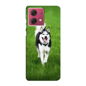 Чехол с принтом «Радостный Хаски» для Motorola MOTO G84