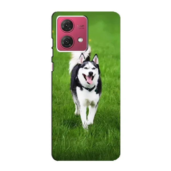 Чехол с принтом «Радостный Хаски» для Motorola MOTO G84