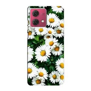 Чехол с принтом «Ромашки» для Motorola MOTO G84