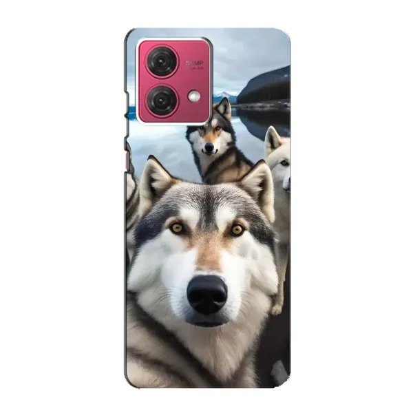 Чехол с принтом «Селфи ХАски» для Motorola MOTO G84