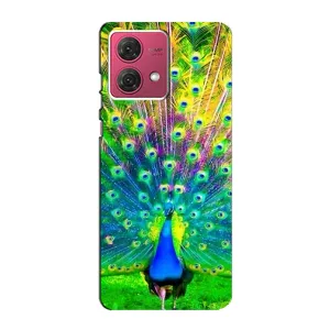 Чехол с птицами на Motorola MOTO G84 (VPrint) (Яркий Павлин)