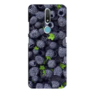 Чохли з фруктами для Nokia 2.4 (VPrint) (Ожина)