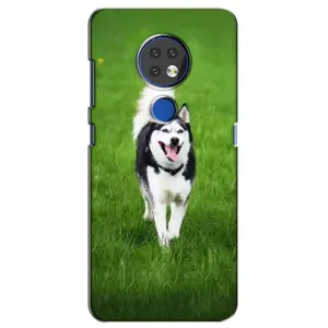 Чохол з Хаскі Nokia 7.2 - (AlphaPrint) (Радісний Хаскі)