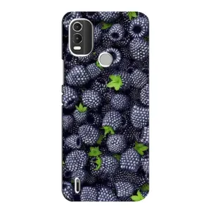 Чехлы с Фруктами для Nokia C21 Plus (VPrint) (Ежевика)