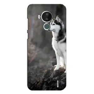 Чехол с Хаски для Nokia C30 - (AlphaPrint) (Верный пес)