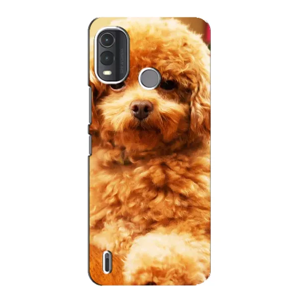 Чехол с принтом «Щенок Бишон» для Nokia G11 Plus