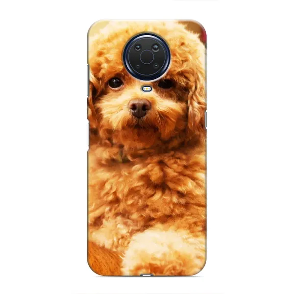 Чехол с принтом «Щенок Бишон» для Nokia G20 Чехол с принтом «Щенок Бишон» для Nokia G20