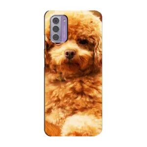 Чохли з собаками для Nokia G42 (VPrint) (Цуценя Бішон)