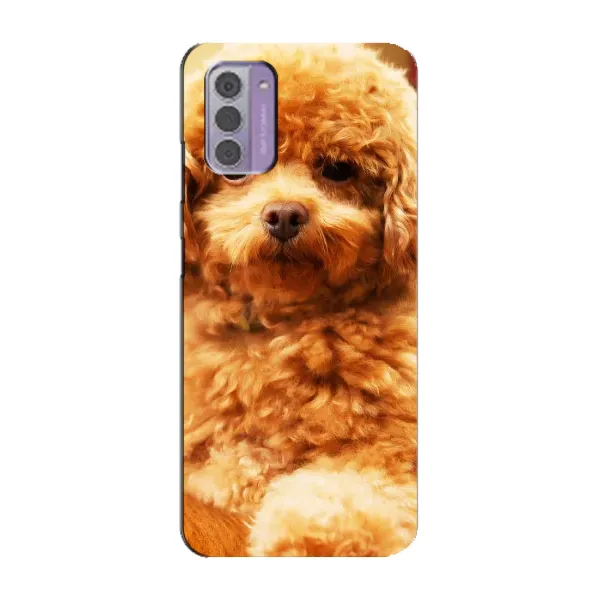 Чохол з принтом «Цуценя Бішон» для Nokia G42