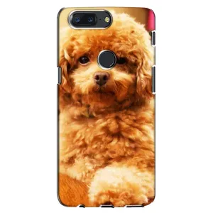 Чохли з собаками для One Plus 5T (VPrint) (Цуценя Бішон)