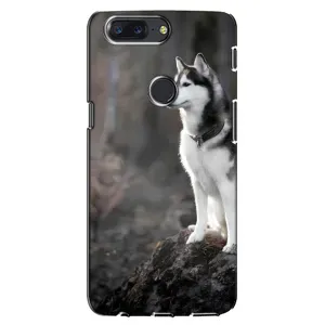 Чехол с Хаски для One Plus 5T - (AlphaPrint) (Верный пес)