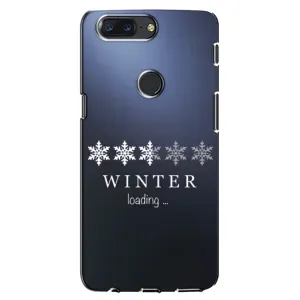 Зимние Чехлы для ВанПлас 5Т - прозрачный фон (Winter loading)