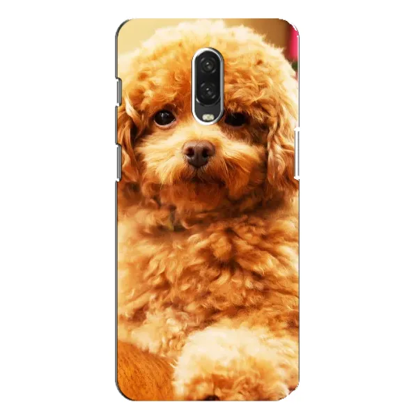 Чехол с принтом «Щенок Бишон» для OnePlus 6T