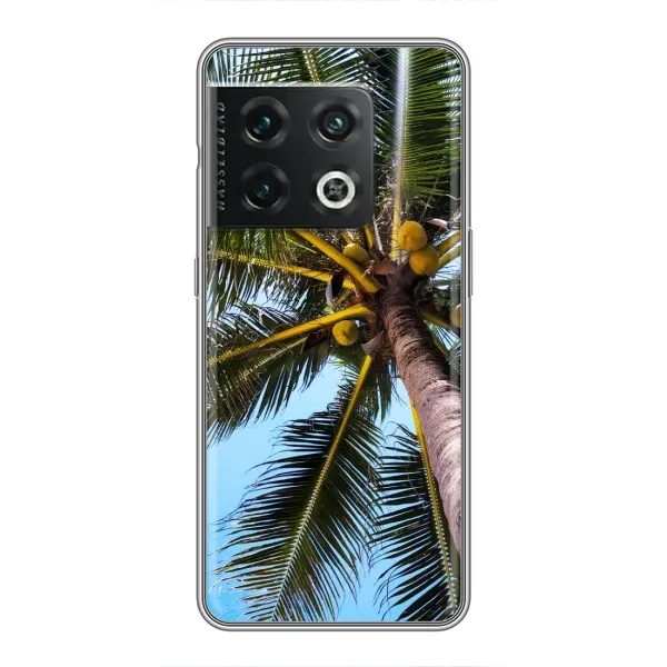 Чехол с принтом «Пальма» для OnePlus 10 Pro Чехол с принтом «Пальма» для OnePlus 10 Pro