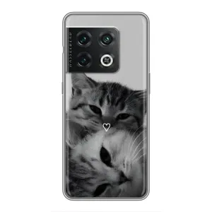 Чехол с рисунком кот на OnePlus 10 Pro (Пара котов)