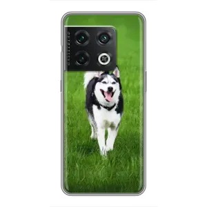 Чехол с Хаски для OnePlus 10 Pro - (AlphaPrint) (Радостный Хаски)
