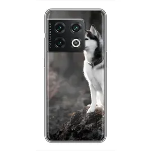Чехол с Хаски для OnePlus 10 Pro - (AlphaPrint) (Верный пес)