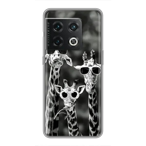 Чехол с принтом «Жирафы в очках» для OnePlus 10 Pro Чехол с принтом «Жирафы в очках» для OnePlus 10 Pro