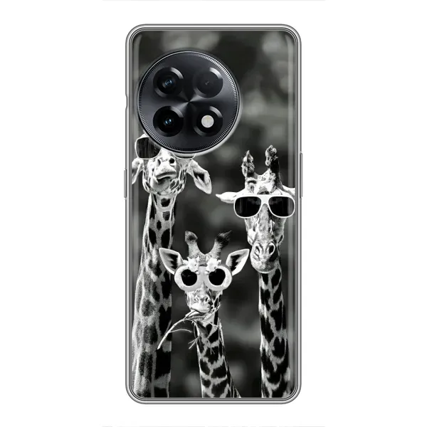 Чехол с принтом «Жирафы в очках» для OnePlus 11 Pro