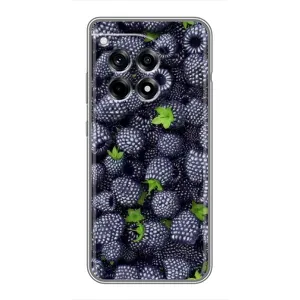 Чехлы с Фруктами для OnePlus 12 Pro (VPrint) (Ежевика)