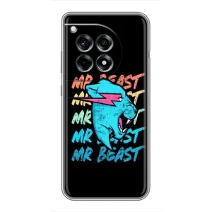 Чехлы Мистер Бист для ВанПлас 12 Про (logo Mr beast)