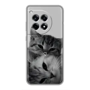 Чехол с рисунком кот на OnePlus 12 Pro (Пара котов)