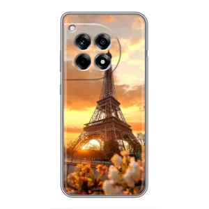 Чехол Эйфелева Башня для OnePlus 12 Pro - (AlphaPrint) (Солнечная башня)