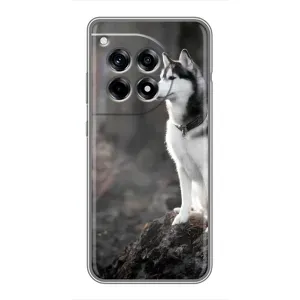 Чехол с Хаски для OnePlus 12 Pro - (AlphaPrint) (Верный пес)