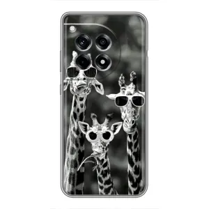 Силиконовый чехол с КАРТИНКАМИ лето для OnePlus 12 Pro (AlphaPrint) (Жирафы в очках)