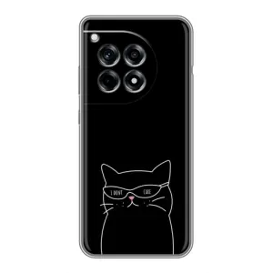 Чехол с рисунком кот на OnePlus 12R (Равнодушный кот)