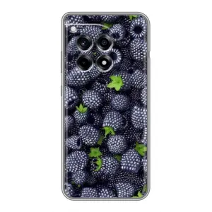 Чехлы с Фруктами для OnePlus 12R (VPrint) (Ежевика)