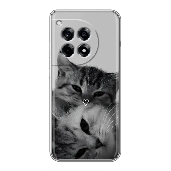 Чехол с принтом «Пара котов» для OnePlus 12R