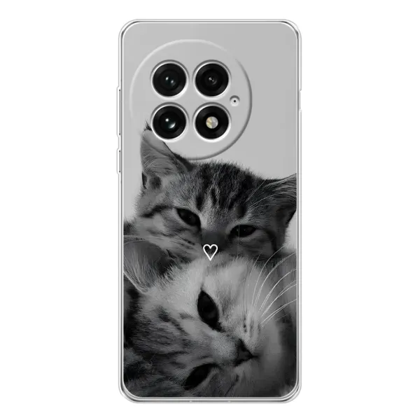Чохол з принтом «Пара котів» для OnePlus 13