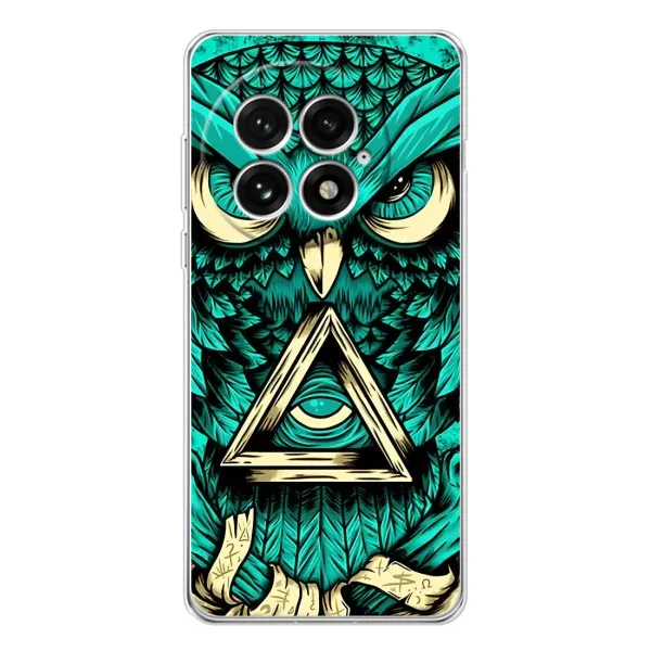 Чохол з принтом «Сова з оком» для OnePlus 13