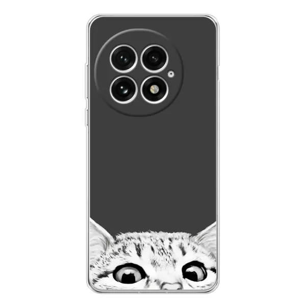 Чохол з принтом «Виглядає котик» для OnePlus 13
