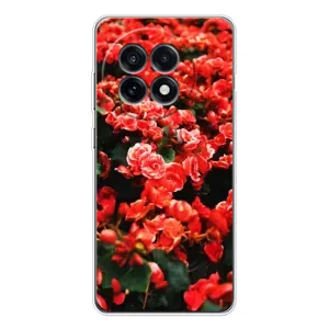 Чехлы с Цветами для OnePlus 13R (VPrint) (Цветы красные)