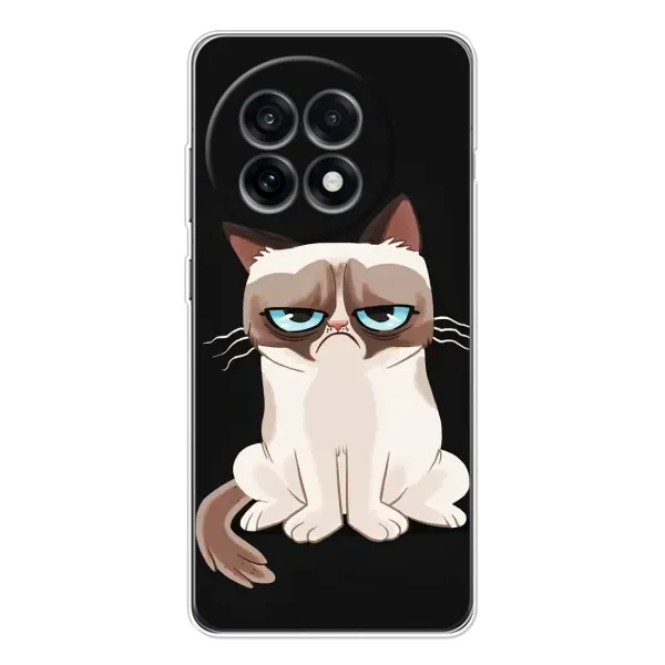 Чохол з принтом «Сумний кіт» для OnePlus 13R