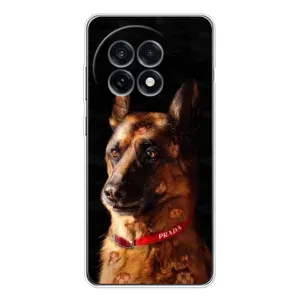 Чехлы с картинками животных OnePlus 13R (Овчарка)