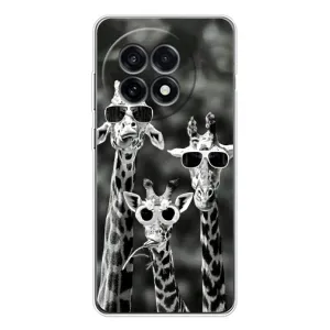 Силіконовий чохол з КАРТИНКАМИ літо для OnePlus 13R (AlphaPrint) (Жирафи в окулярах)